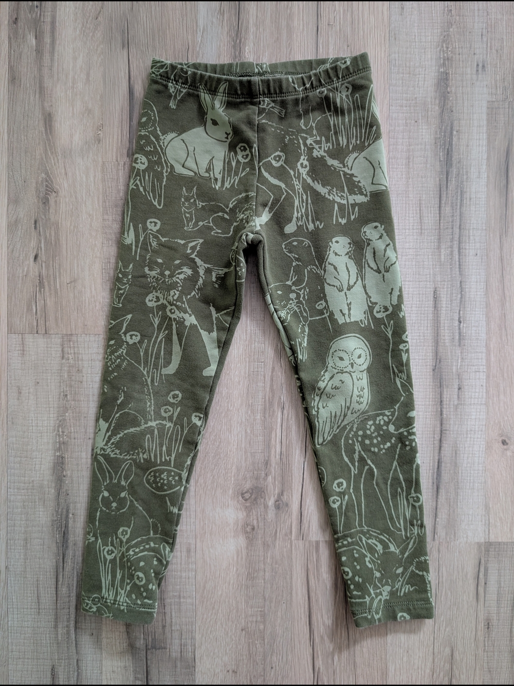 Tea Collection Olive Green Woodland Animal Leggings, 5T (V9)
